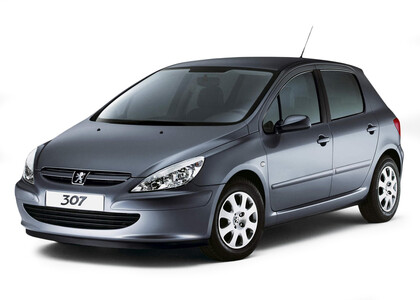 Коврики на Peugeot 307 2001 - 2008 в Новосибирске