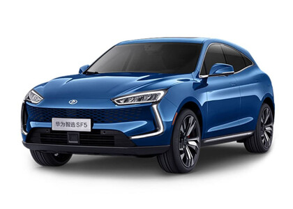 Коврики на Seres SF5 2019&nbsp;-&nbsp;2022 в Новосибирске