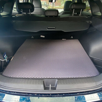 Коврики на Haval F7x II 2025&nbsp;-&nbsp;2026 в Новосибирске