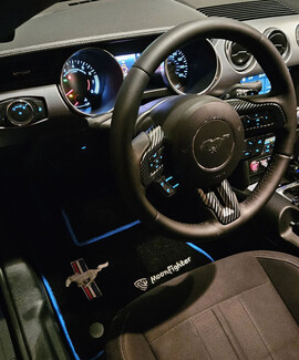 Ворсовые коврики на Ford Mustang VI 2013&nbsp;-&nbsp;2023 в Новосибирске
