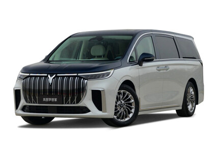 Коврики на Voyah Dream 2021&nbsp;-&nbsp;2026 в Новосибирске